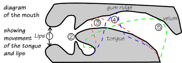 mouthdiagram